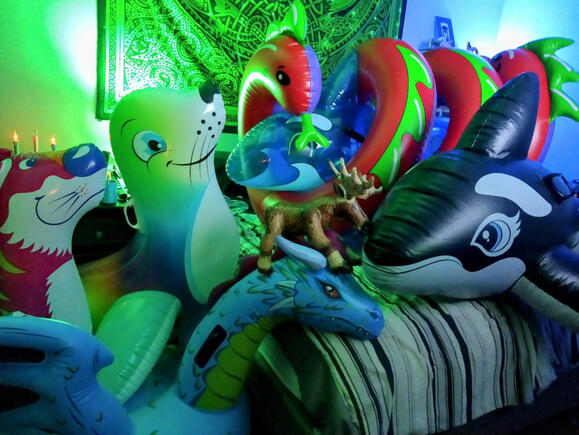 Jasper (Intex 3D Bop Bag Tiger), Splash (BestWay H20 Go! Flash 'n' Splash Seal), Pip/Squeak (Swimline Two-Headed Curly Serpent), Bahama (BestWay H20 Go! Whale), Laguna (Intex Whale), Mr. Dragon (Intex Mystical Dragon), BooBoo (Frenry Barnum's Animals)