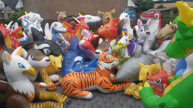 a menagerie of inflated pooltoys, including whales, wolves, wildcats, dragons, etc.