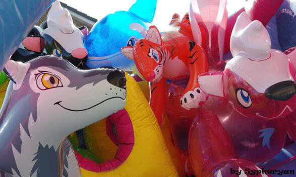 a group of inflatable pool toys, including an orange tiger, a transparent blue whale, a wolf, a transparent pink skunk and an opaque black skunk